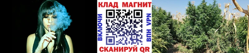 Где купить наркотики Волгореченск ГАШ  Каннабис  A-PVP  МЕФ  АМФЕТАМИН  Cocaine 